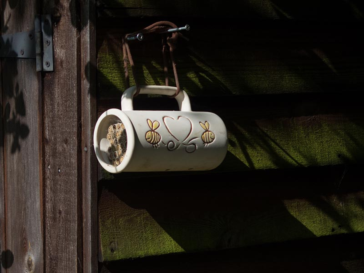 Bee Mug