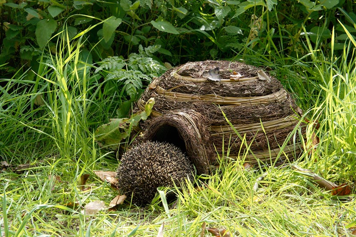 Igloo Hedgehog House British Garden