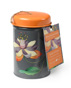 Twine in a Tin Passiflora